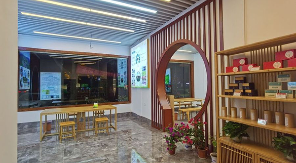 芷江甜茶展示馆