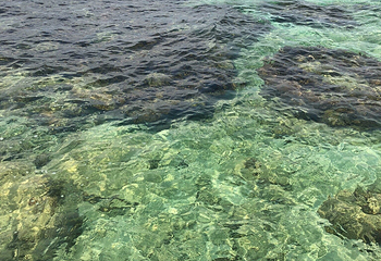 云退岛第 18 张图片