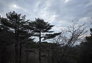 黄山风景区第 480 张图片