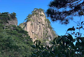 黄山风景区第 248 张图片
