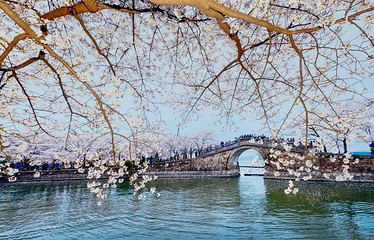 无锡市太湖鼋头渚风景区第 145 张图片