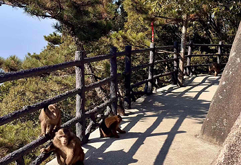 九华山风景区第 110 张图片