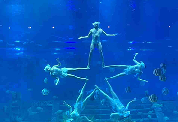 重庆汉海海洋公园第 153 张图片