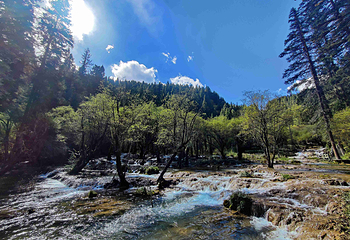 九寨沟风景区第 434 张图片