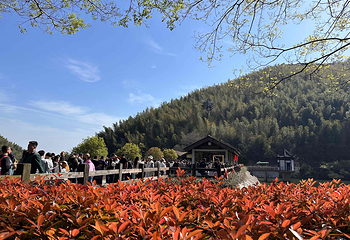 天目湖南山竹海第 108 张图片