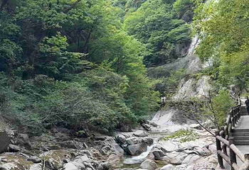 太平国家森林公园第 76 张图片
