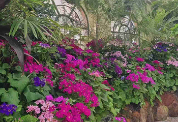 墨尔本皇家植物园第 48 张图片