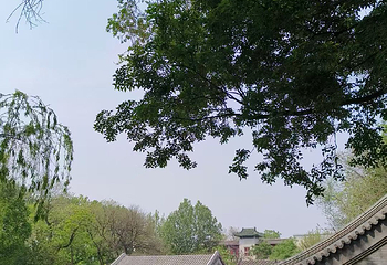 恭王府第 186 张图片