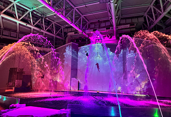 济州岛Aqua Planet水族馆第 42 张图片