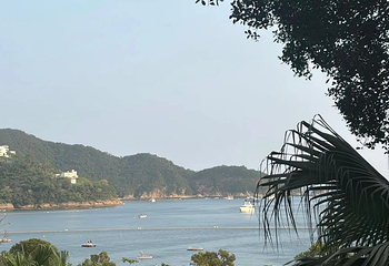 浅水湾第 97 张图片