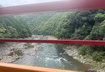 岚山嵯峨野观光小火车第 71 张图片