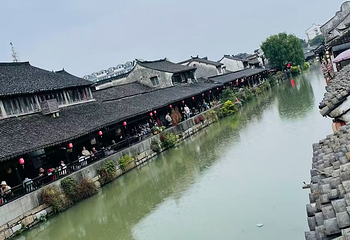 枫泾古镇第 176 张图片