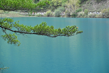 九寨沟风景区第 449 张图片