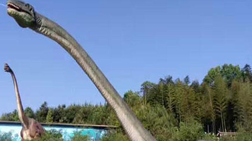 新化恐龙乐园(新化东方恒太城店)