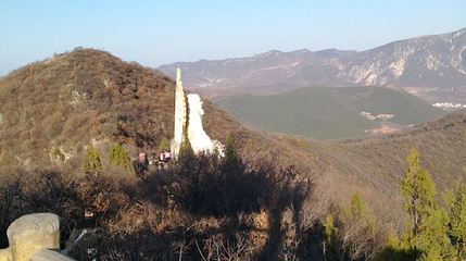 达摩像第 1 张图片