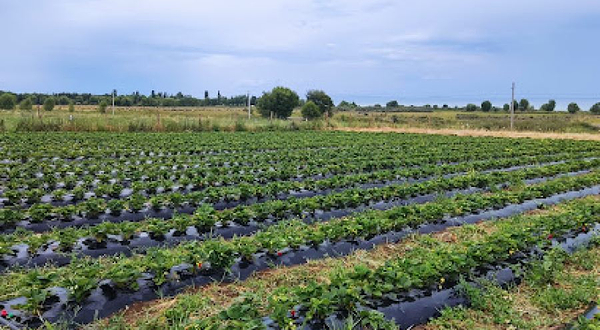 Орукту пляж