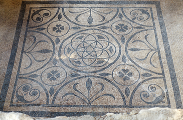 Domus del Chirurgo第 17 张图片