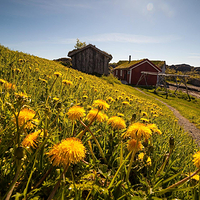 罗弗敦群岛博物馆