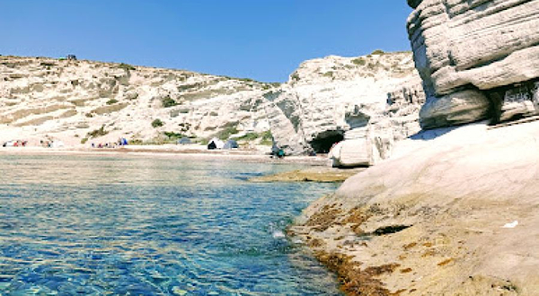 Aegean Forest Foundation