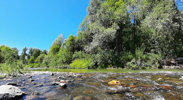 Detskaya Ploshchadka