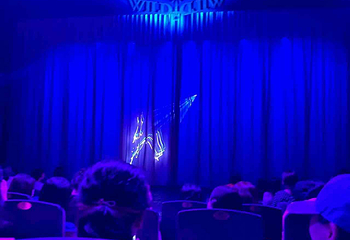 Wild Wild 猛男秀第 21 张图片
