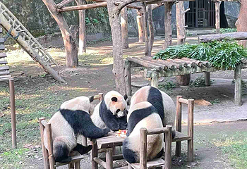 重庆动物园第 97 张图片