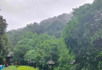 灵隐寺第 203 张图片