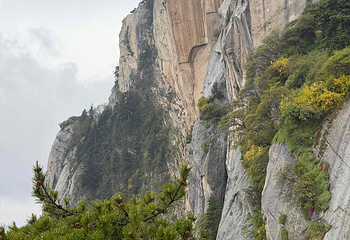 华山第 248 张图片