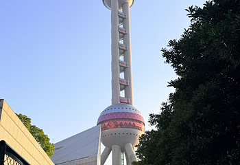 上海海洋水族馆第 200 张图片