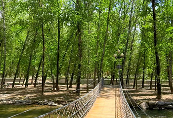 百里山水画廊第 53 张图片