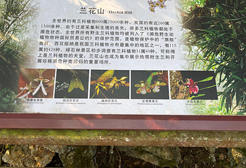 中国科学院西双版纳热带植物园第 69 张图片