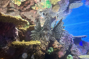 上海海洋水族馆第 179 张图片