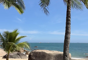 天涯海角第 324 张图片