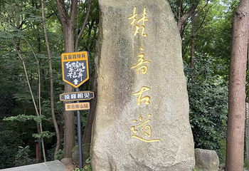 南岳衡山风景名胜区第 104 张图片