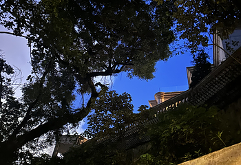 太平山顶第 318 张图片