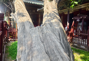 晋祠博物馆第 464 张图片
