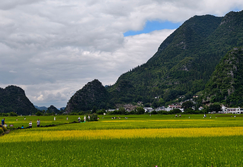万峰林景区第 144 张图片