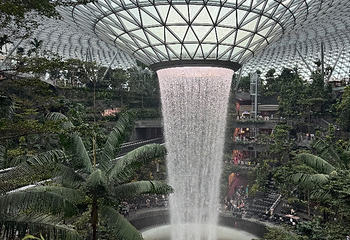 星耀樟宜第 141 张图片