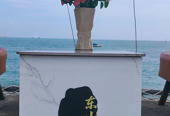 东山岛第 102 张图片