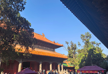 孔庙第 51 张图片