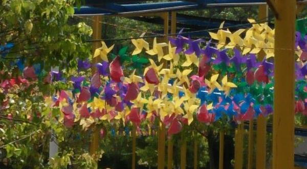 永州市山花烂漫