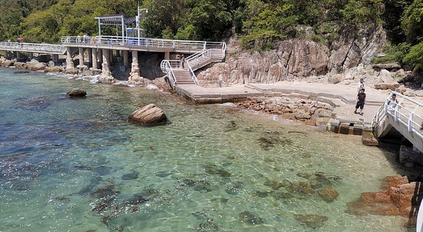 海滨绿道-林冠栈道