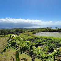 Arboretum du plateau de Taravao
