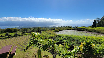 Arboretum du plateau de Taravao