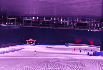 阿尔卑斯雪世界第 434 张图片