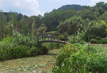 青秀山第 97 张图片