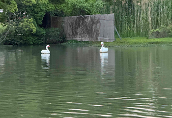 沙家浜风景区第 106 张图片