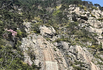 泰山风景区第 284 张图片