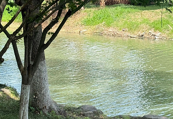 石湖景区第 97 张图片