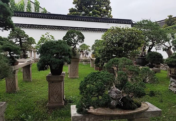 苏州博物馆第 337 张图片